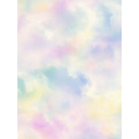 Cloudy Sky Wallpaper Multi Rasch 818017